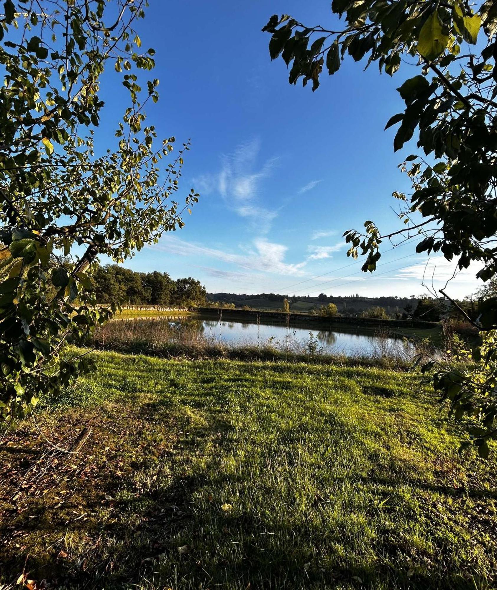 Gite La Garrigue Montbarla Exteriör bild